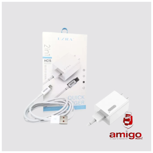 CARGADOR TIPO C ERZA HC15